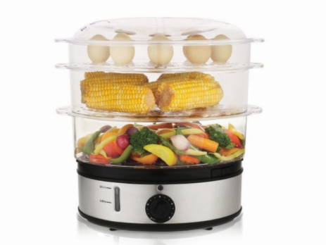 Best Electric Vegetable Steamers in 2022 - Start Your Healthy Diet!