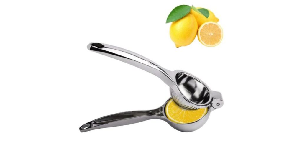 Stainless Steel Citrus Juicer