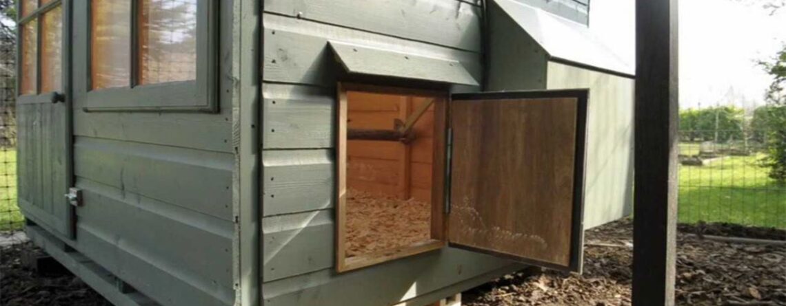 Chicken Coop Doors