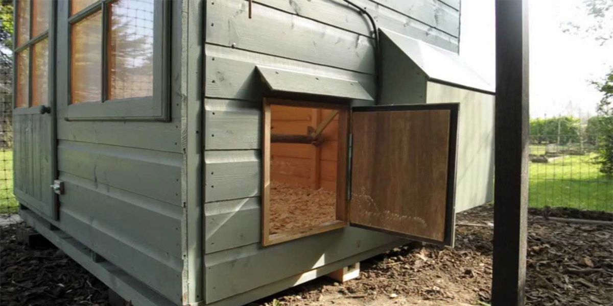 Chicken Coop Doors